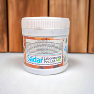 Sadar Majoon E Falasifa 125g (Pack Of 2)