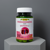 Vyas Vrukkadoshantak Vati 100 Tablets