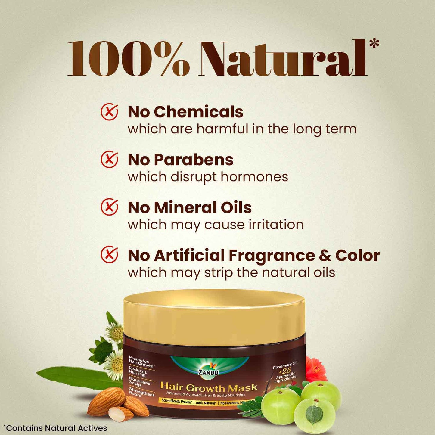 Zandu Ayurvedic Hair Growth Mask 200g