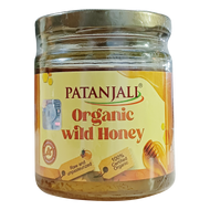 Patanjali Organic Wild Honey 200g
