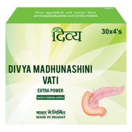 Divya Madhunashini Vati Extra Power 120 Tablets