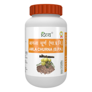 Patanjali Amla Churna 100g