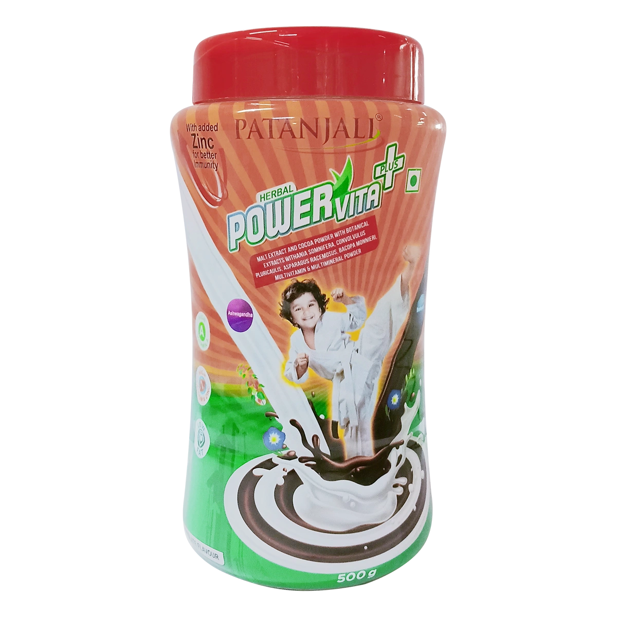 Patanjali Herbal Powervita 500g