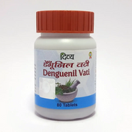 Divya Denguenil Vati 80 Tablets