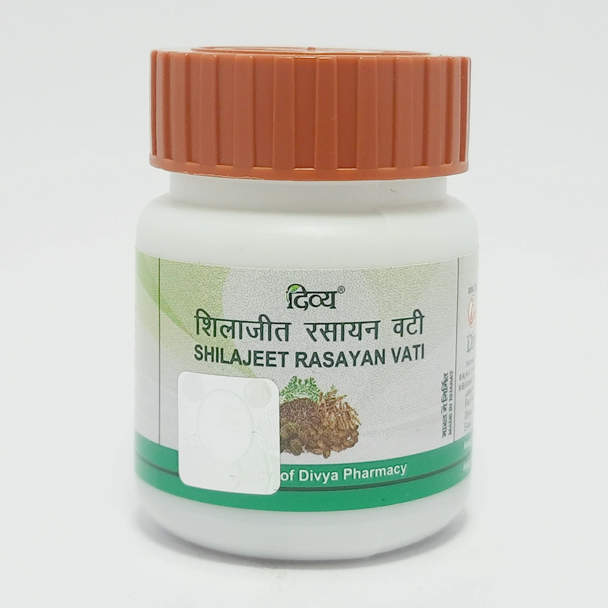 Divya Shilajeet Rasayan Vati 40g