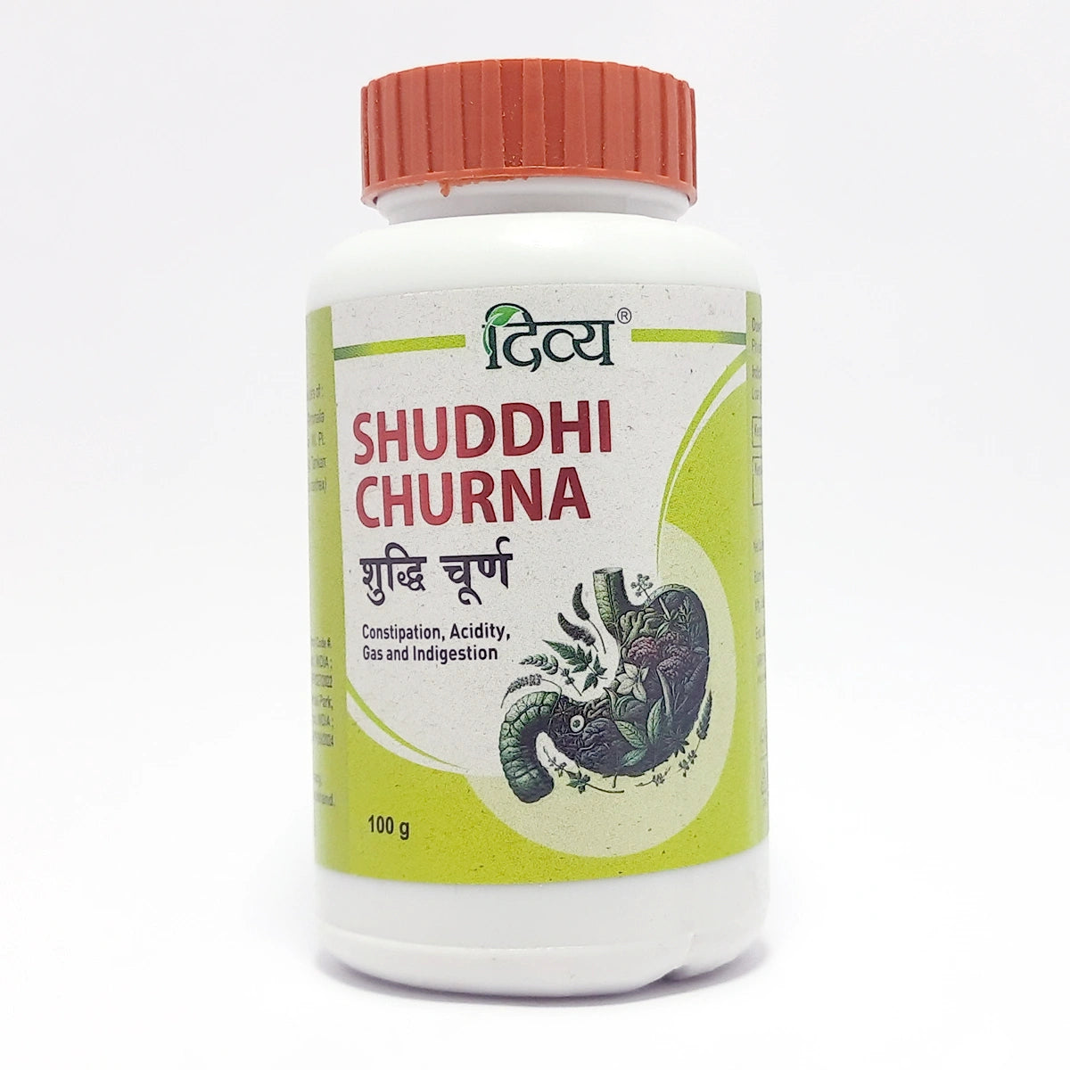 Patanjali Shuddhi Churna 100g