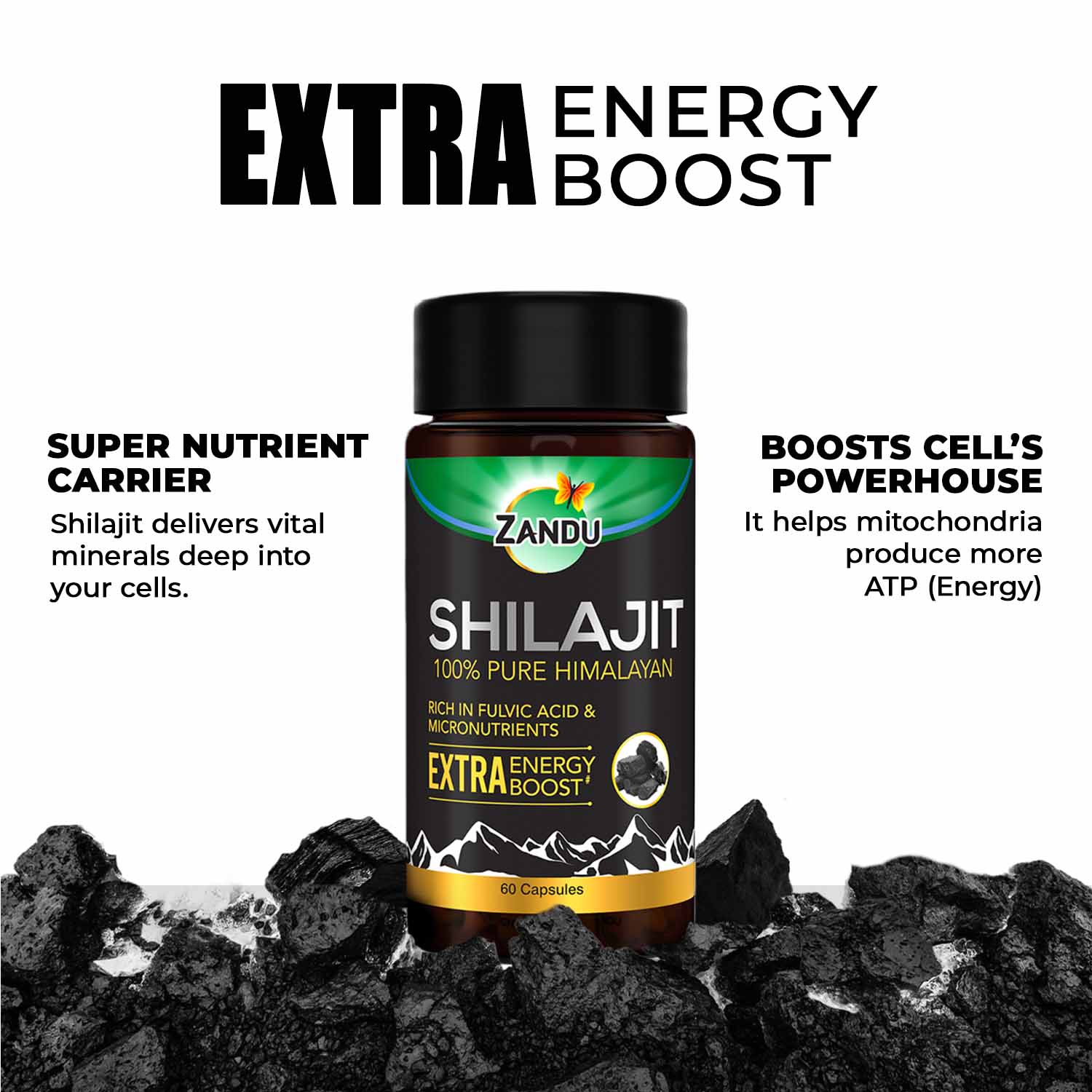 Zandu Pure Himalayan Shilajit Capsules