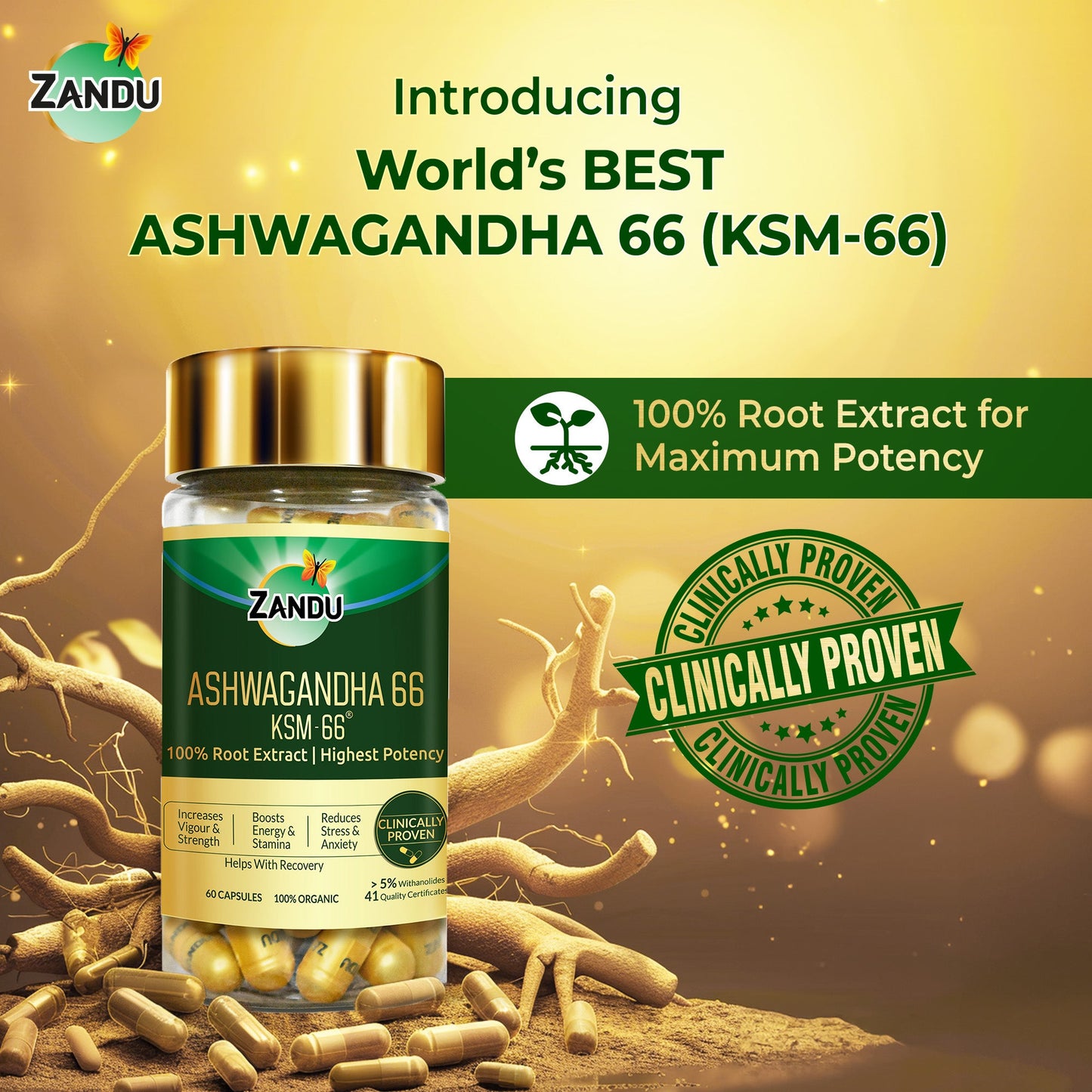 Zandu Ashwagandha KSM-66 (60 Capsules)