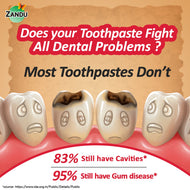 Zandu Dantveer Ayurvedic Toothpaste