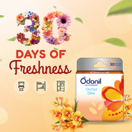 Odonil Air Freshener Blocks Orchid Dew 48g