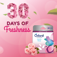 Odonil Air Freshener Blocks Mystic Rose 48g