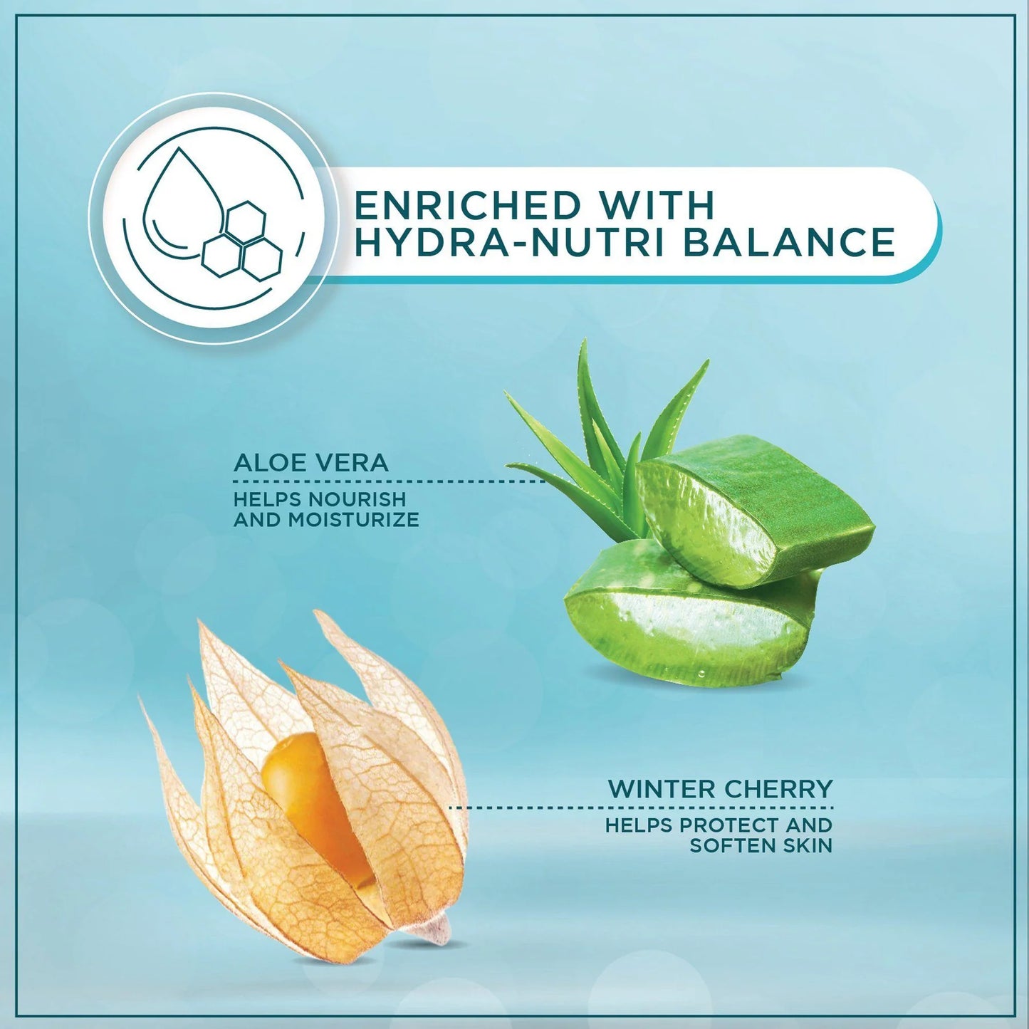 Product packaging enriched with Hydra-Nutri Balance, featuring aloe vera and winter cherry on a light blue background.