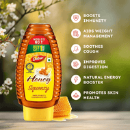 Dabur Honey Squeezy 400g