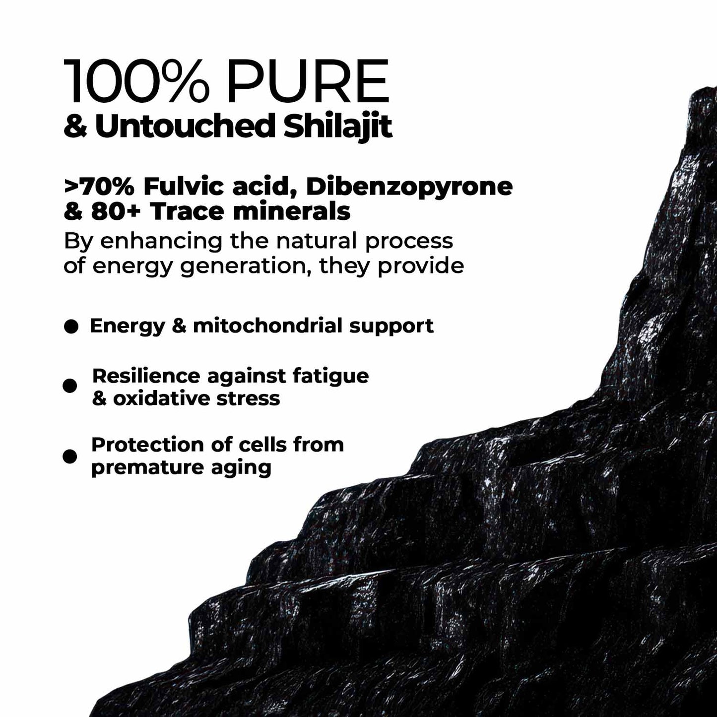 Zandu Himalayan Shilajit Resin