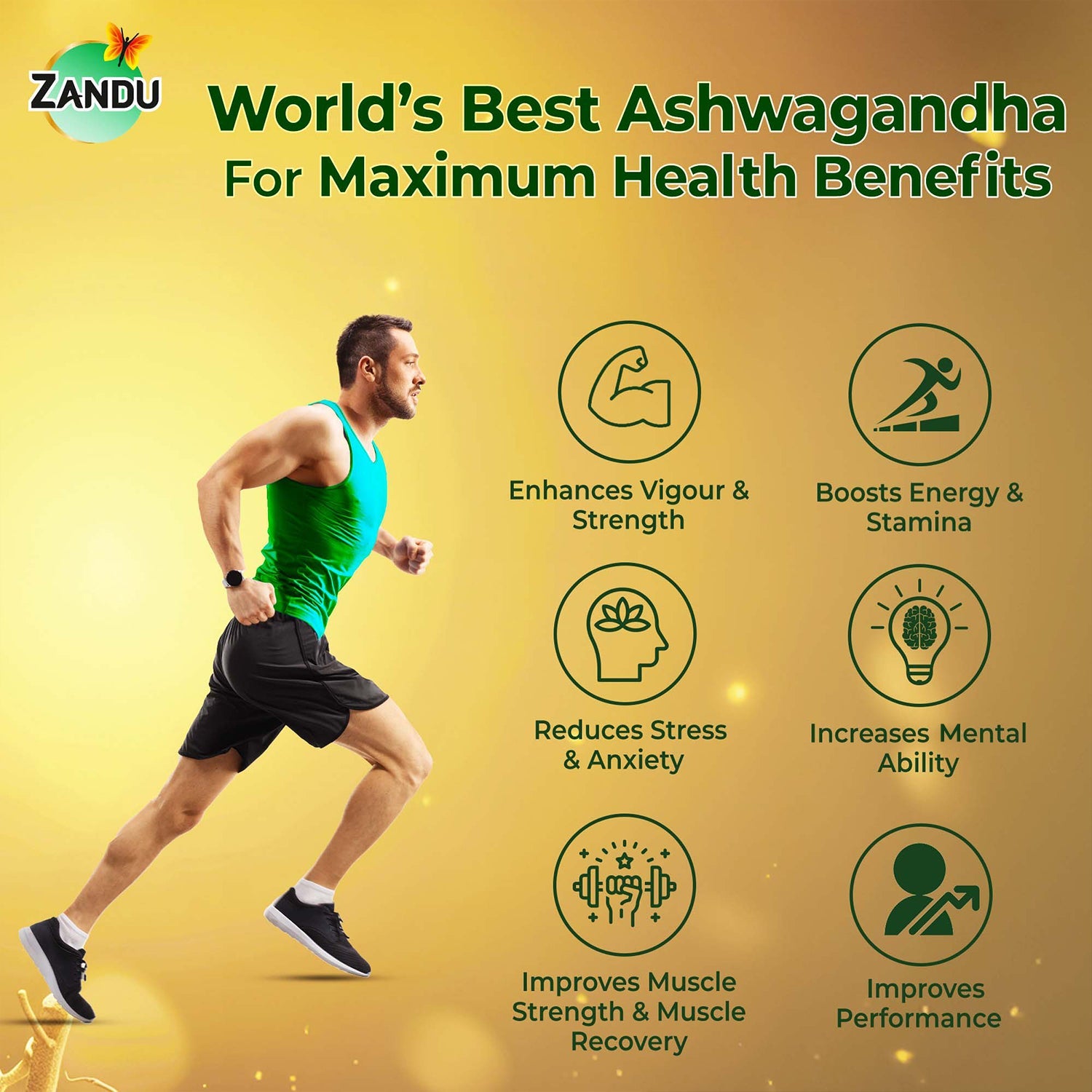 Zandu Ashwagandha KSM-66 (60 Capsules)
