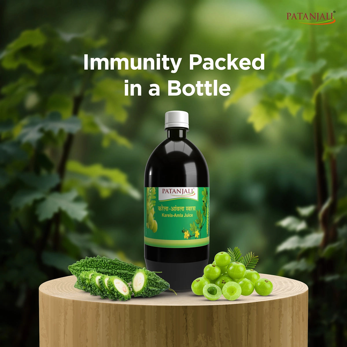 Patanjali Karela Amla Juice Herbal Wellness Drink 500ml