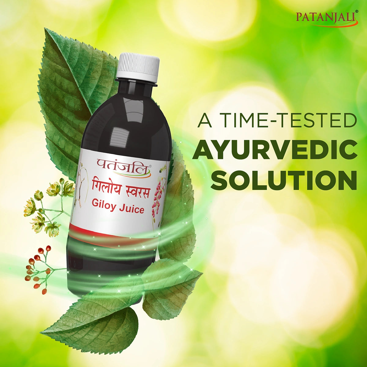 Patanjali Ayurvedic Giloy Juice 500ml