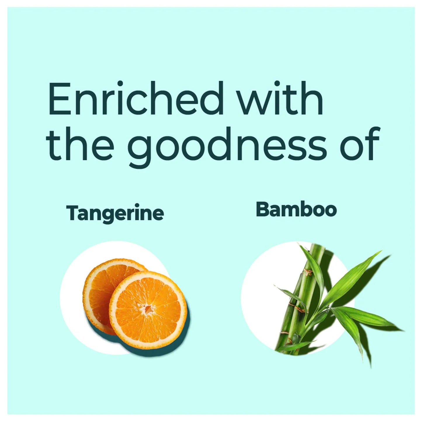 Text 'Enriched with the goodness of Tangerine Bamboo' with images of tangerines and bamboo on a light blue background.