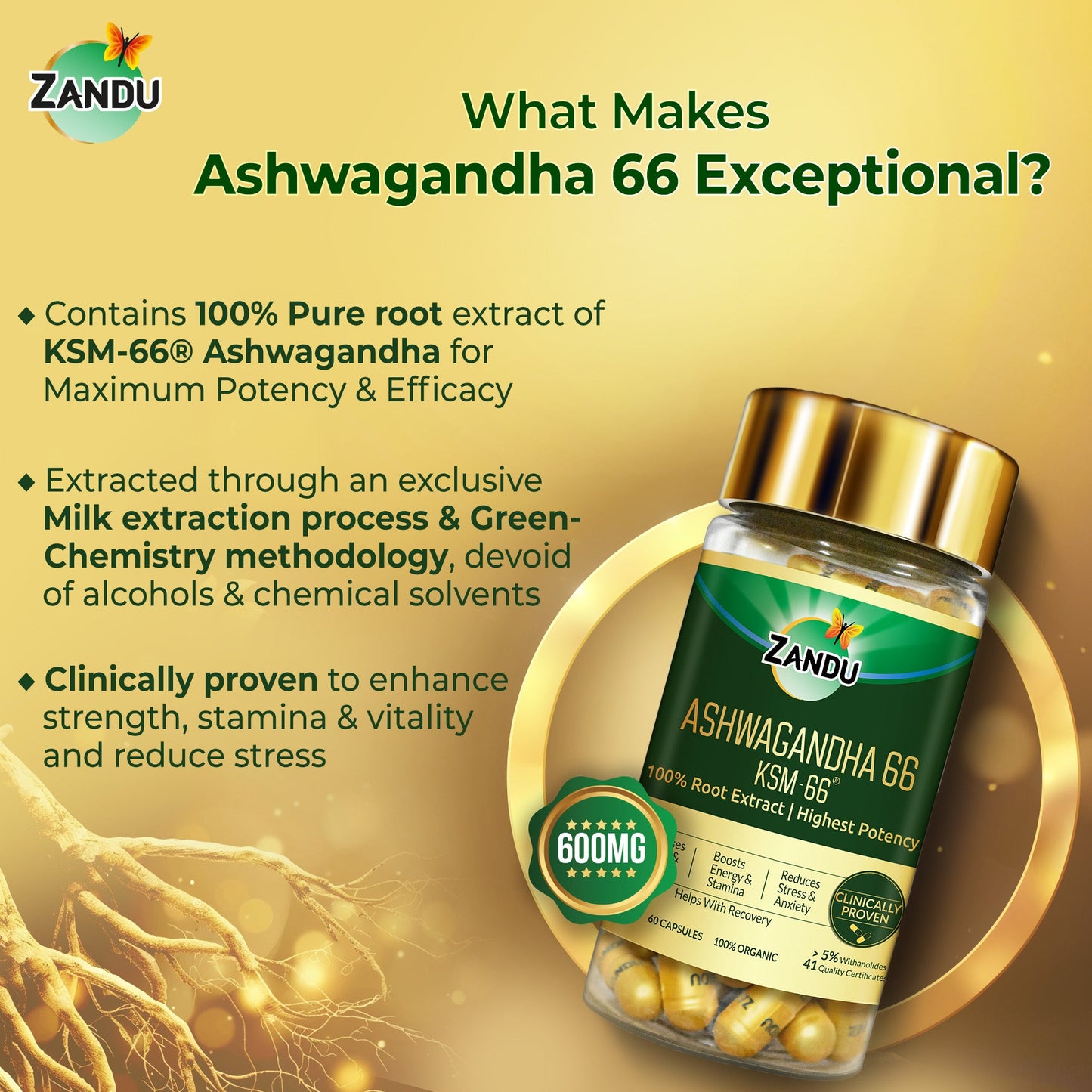 Zandu Ashwagandha KSM-66 (60 Capsules)