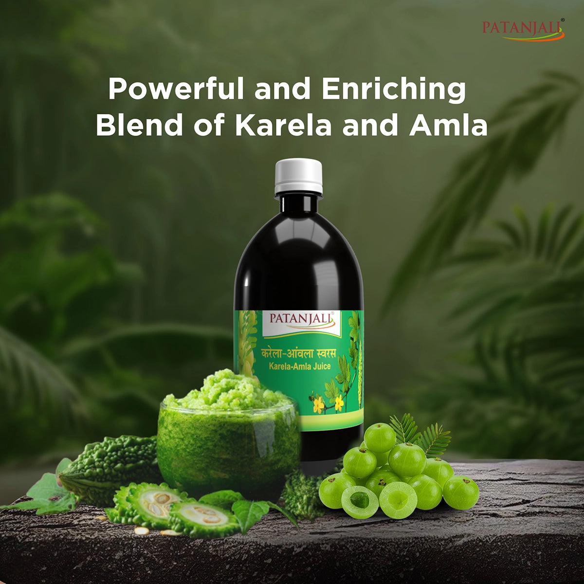 Patanjali Karela Amla Juice Herbal Wellness Drink 500ml