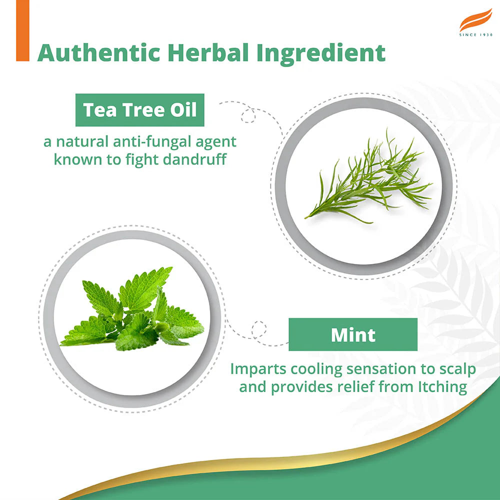 Tea tree oil and mint leaves with text on a white background