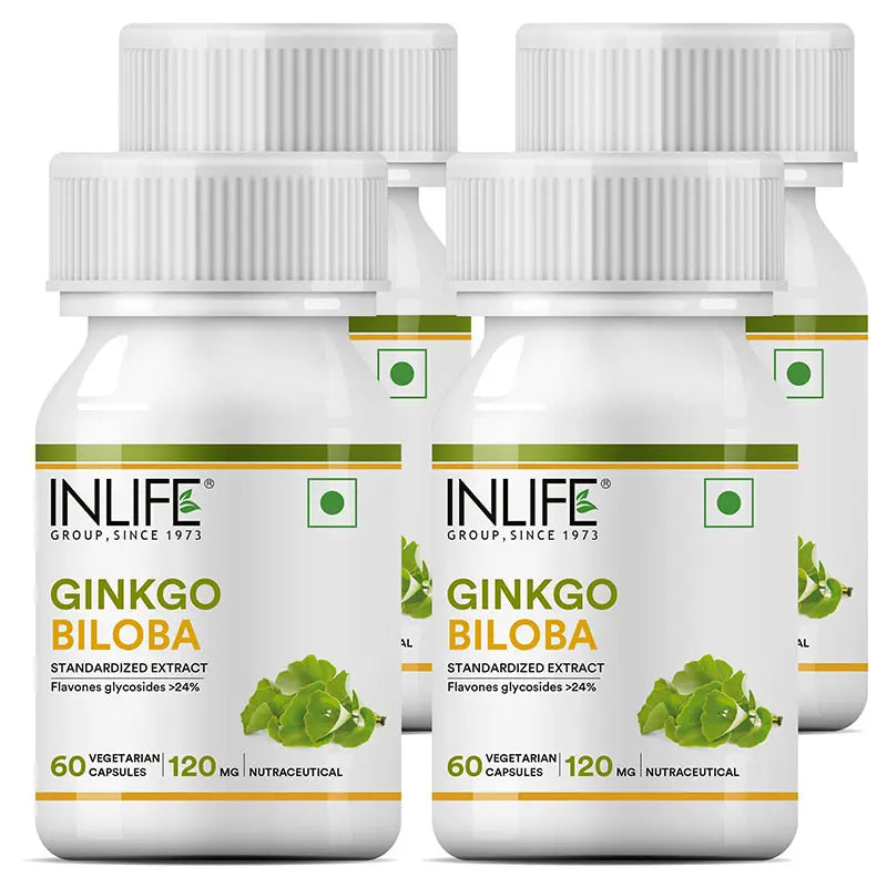 Inlife Ginkgo Biloba Supplement, 120mg | 60 Veg. Capsules
