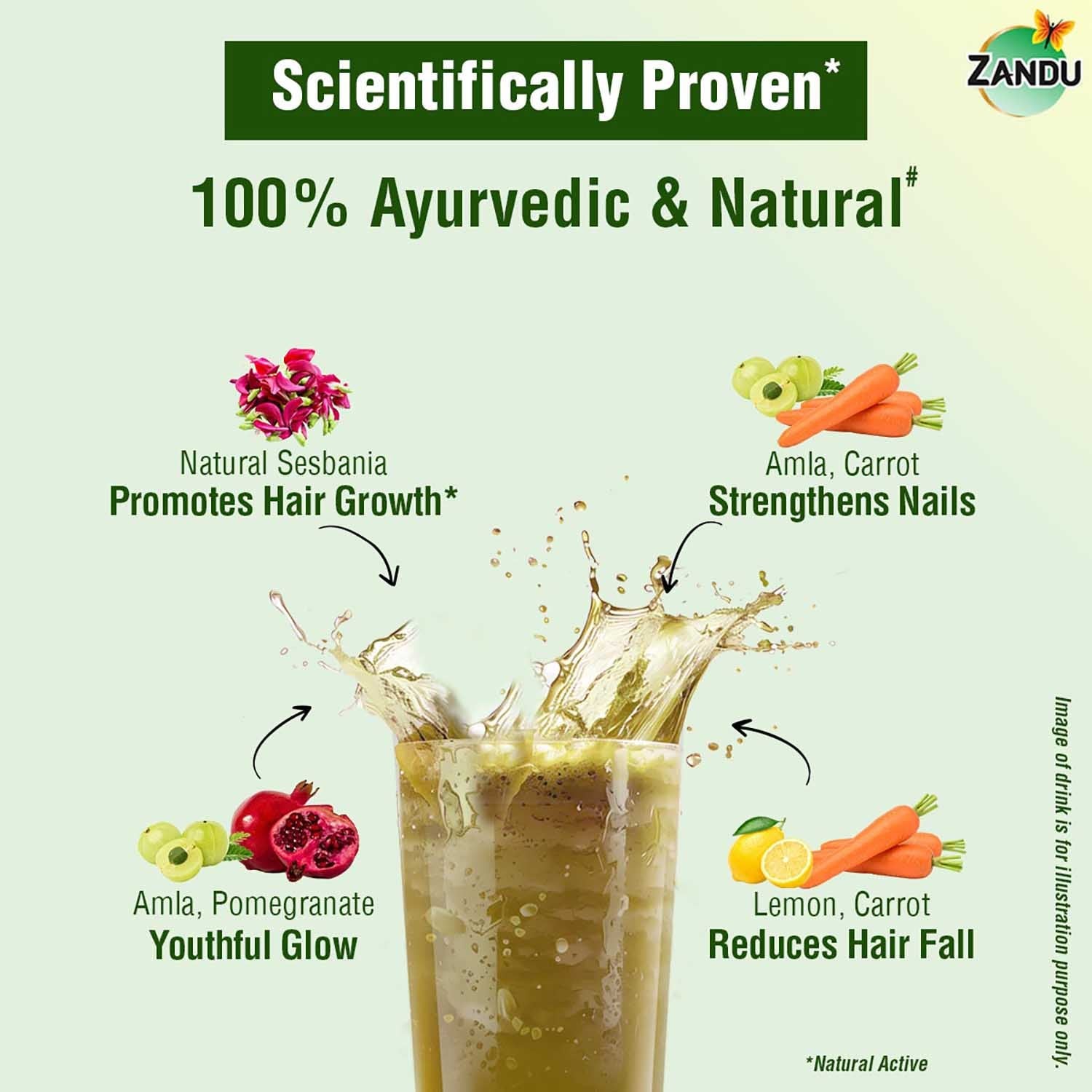 Zandu Plant Based Biotin Plus Powder (200g)