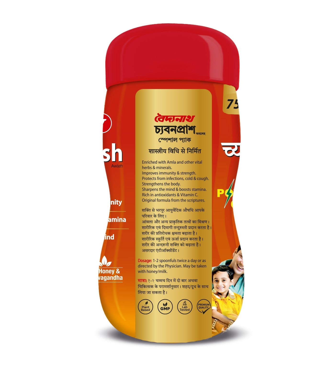 Baidyanath Chyawanprash Special Pack