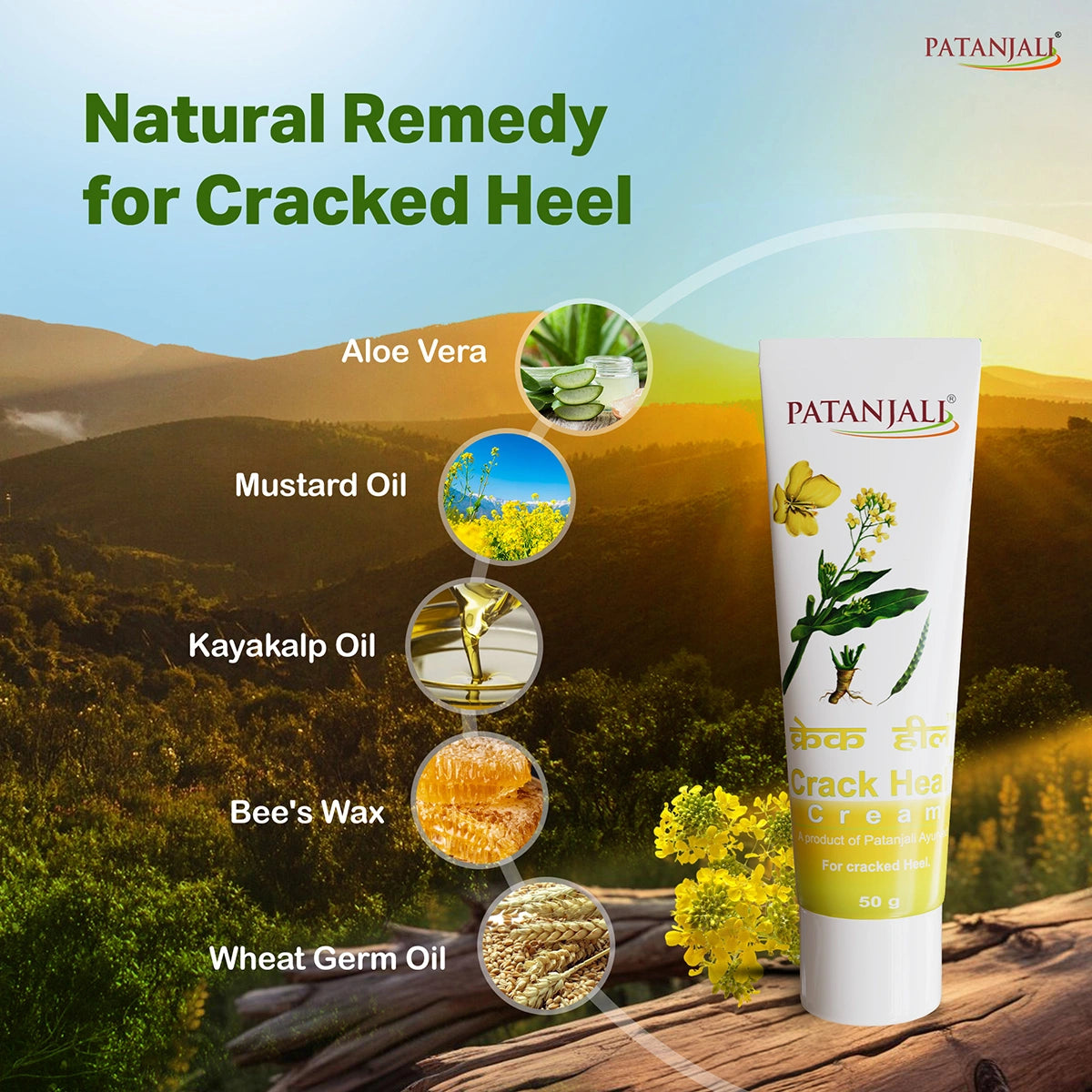Patanjali Crack Heal Cream