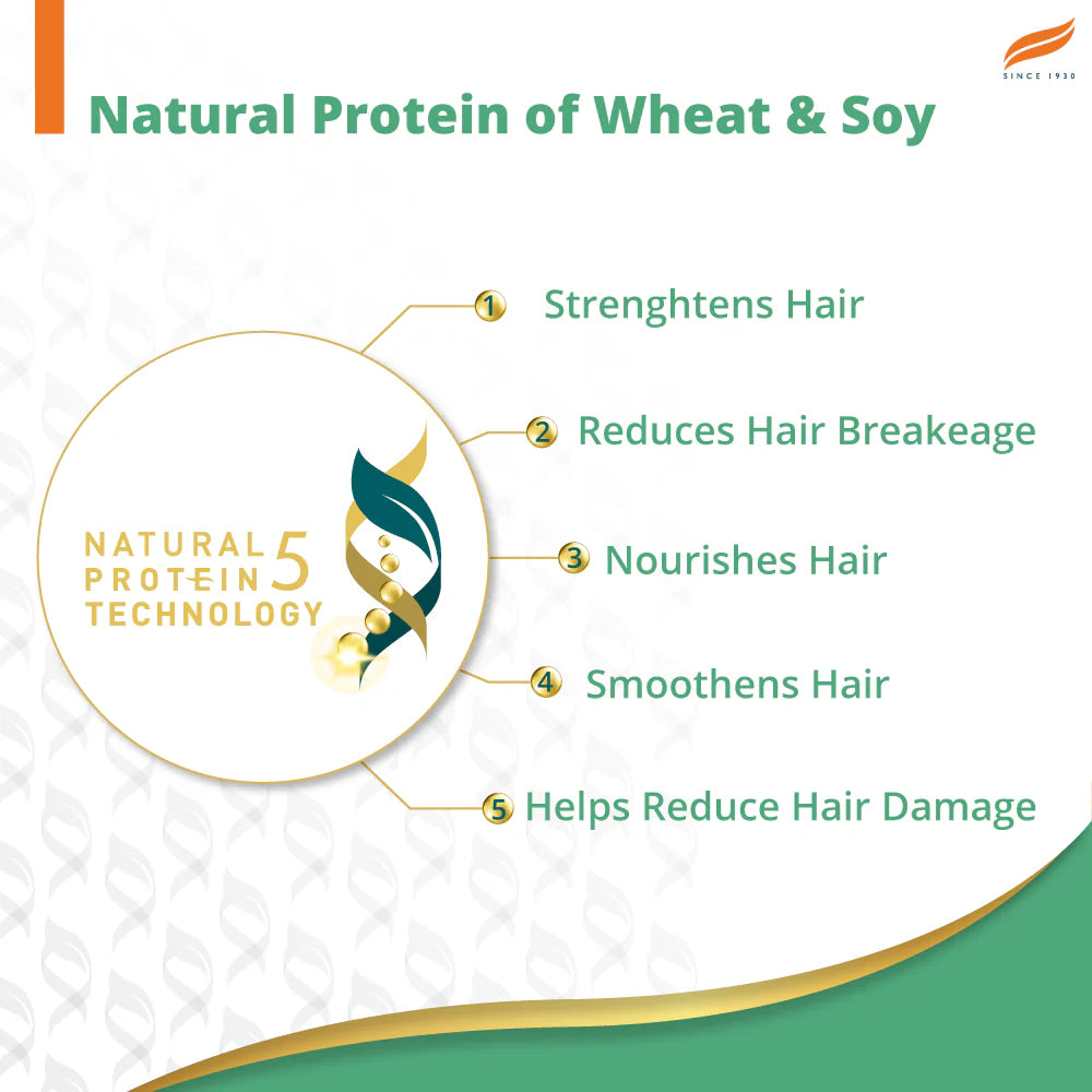 Diagram of natural protein technology benefits for hair care on a white background with green and gold accents.
