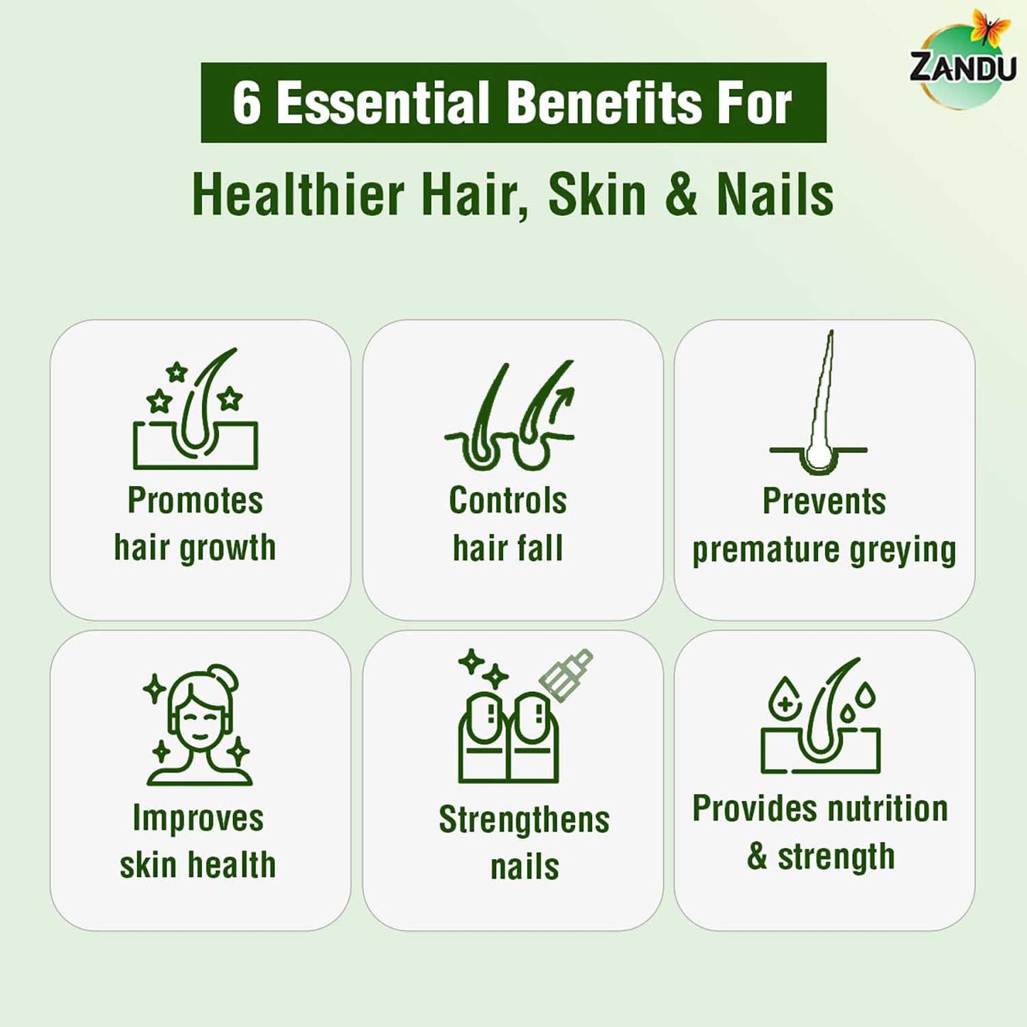 Zandu Plant Based Biotin Plus Powder (200g)