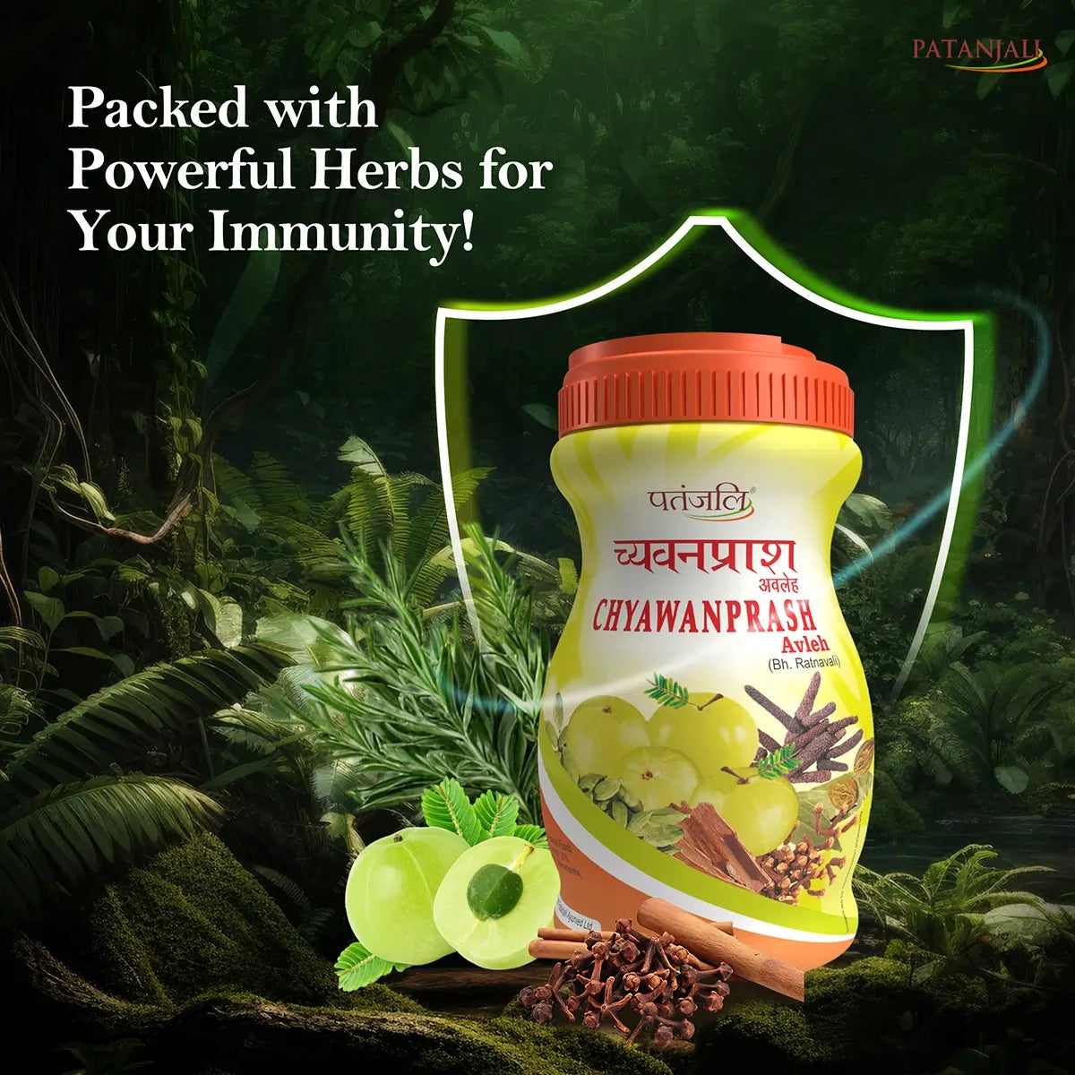 Patanjali Chyawanprash 1 kg