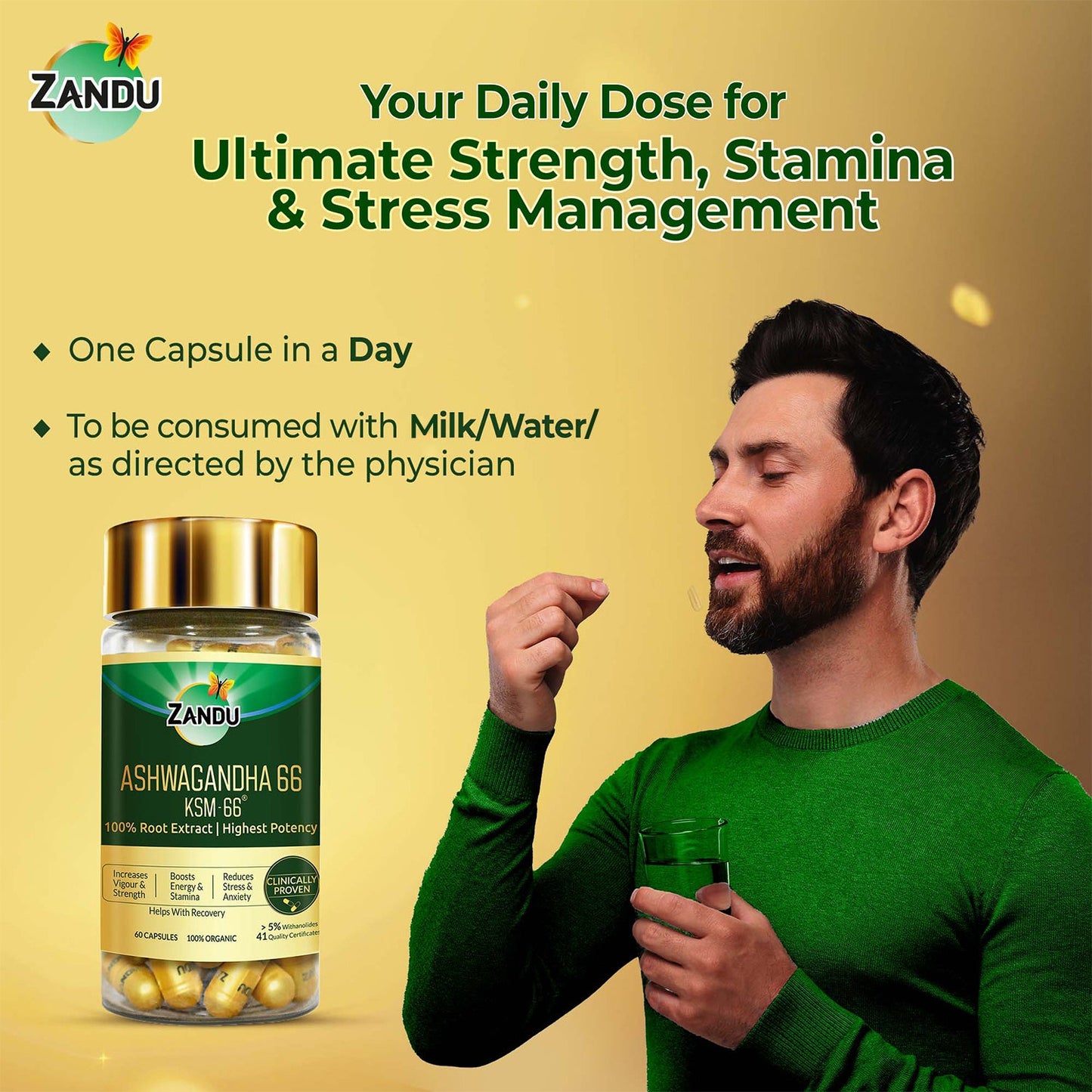 Zandu Ashwagandha KSM-66 (60 Capsules)