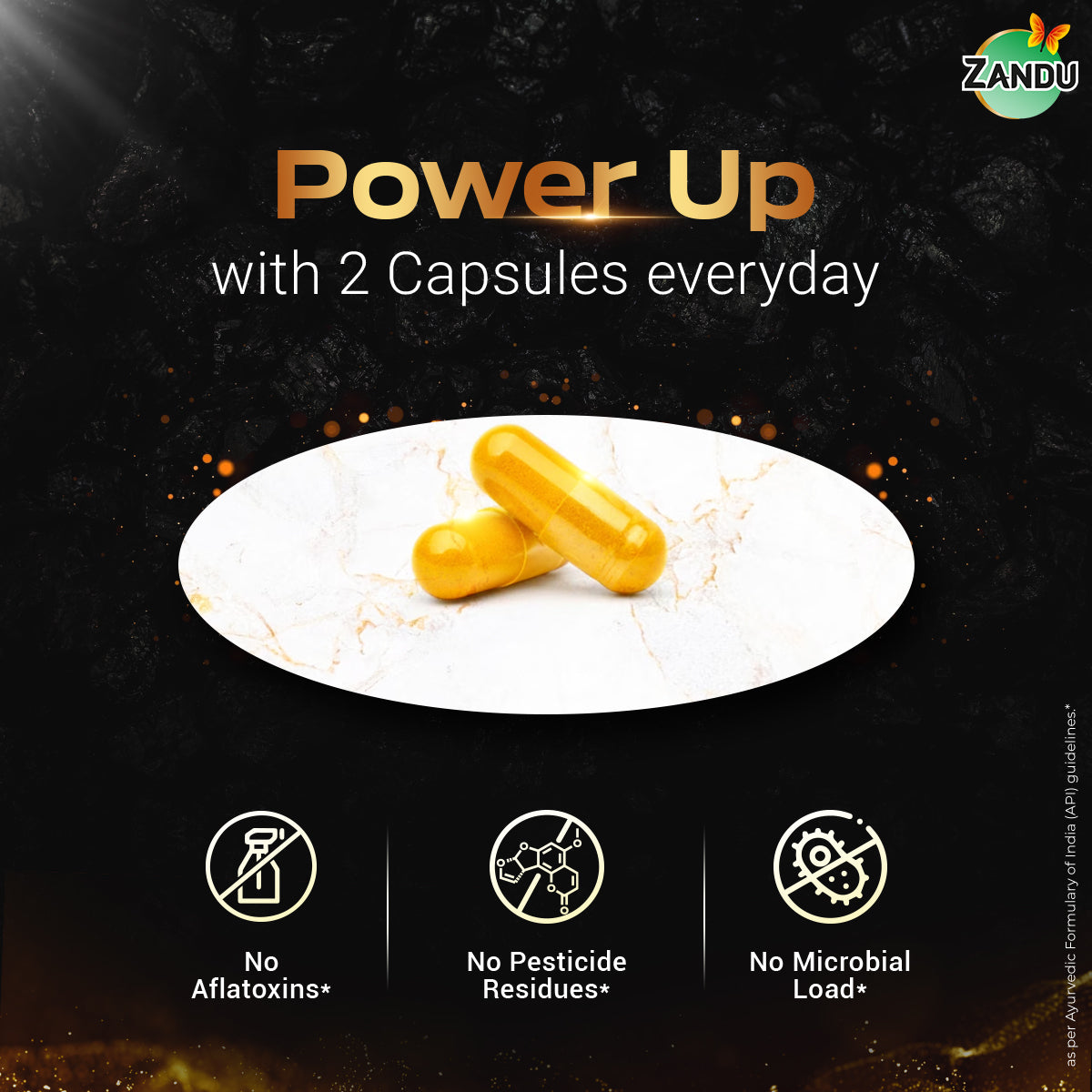 Zandu Shilajit Gold Plus Capsules