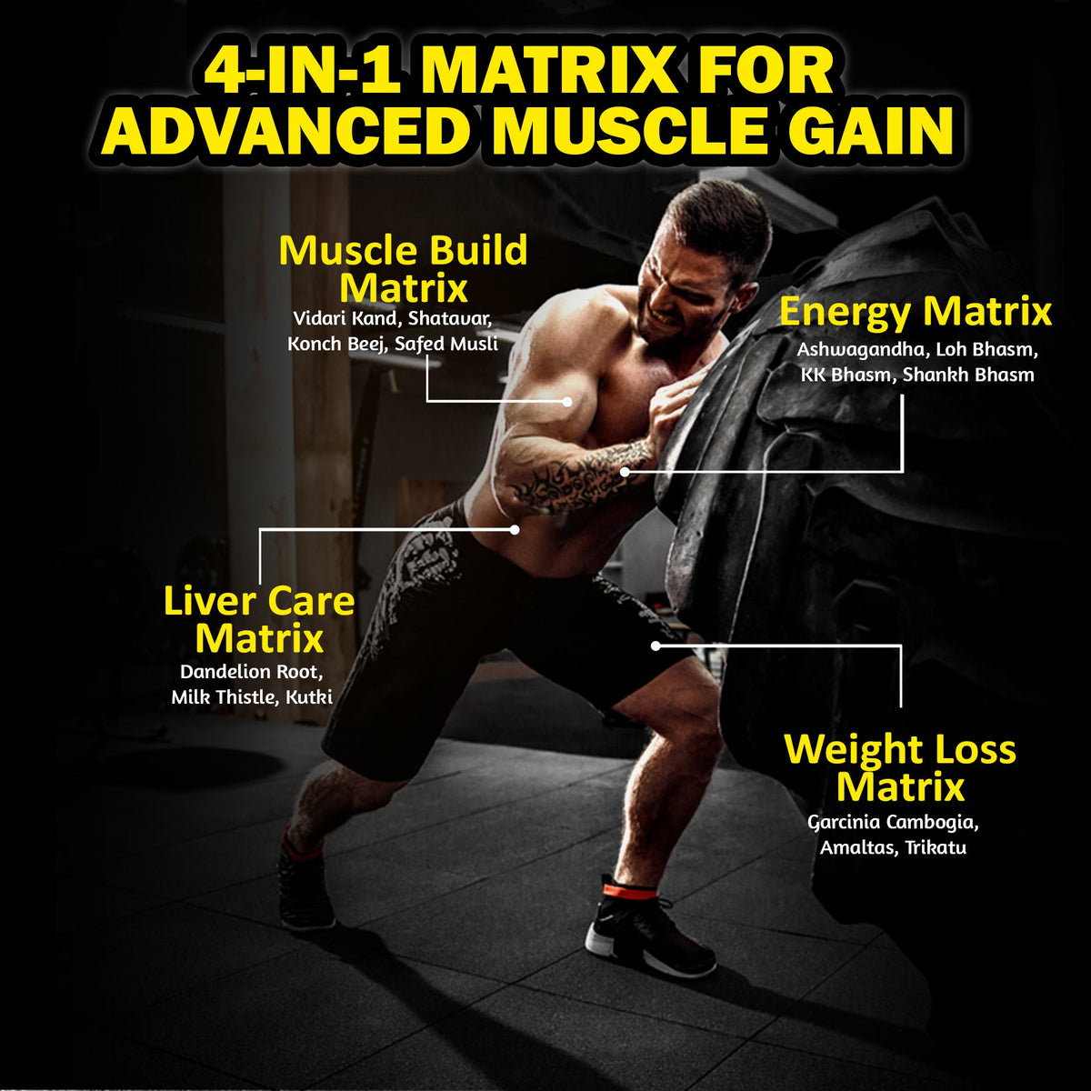 Muscle Building Packages Nav Nirman Advanced Muscle Build Capsule for Natural Muscle Gain | Ayu ...