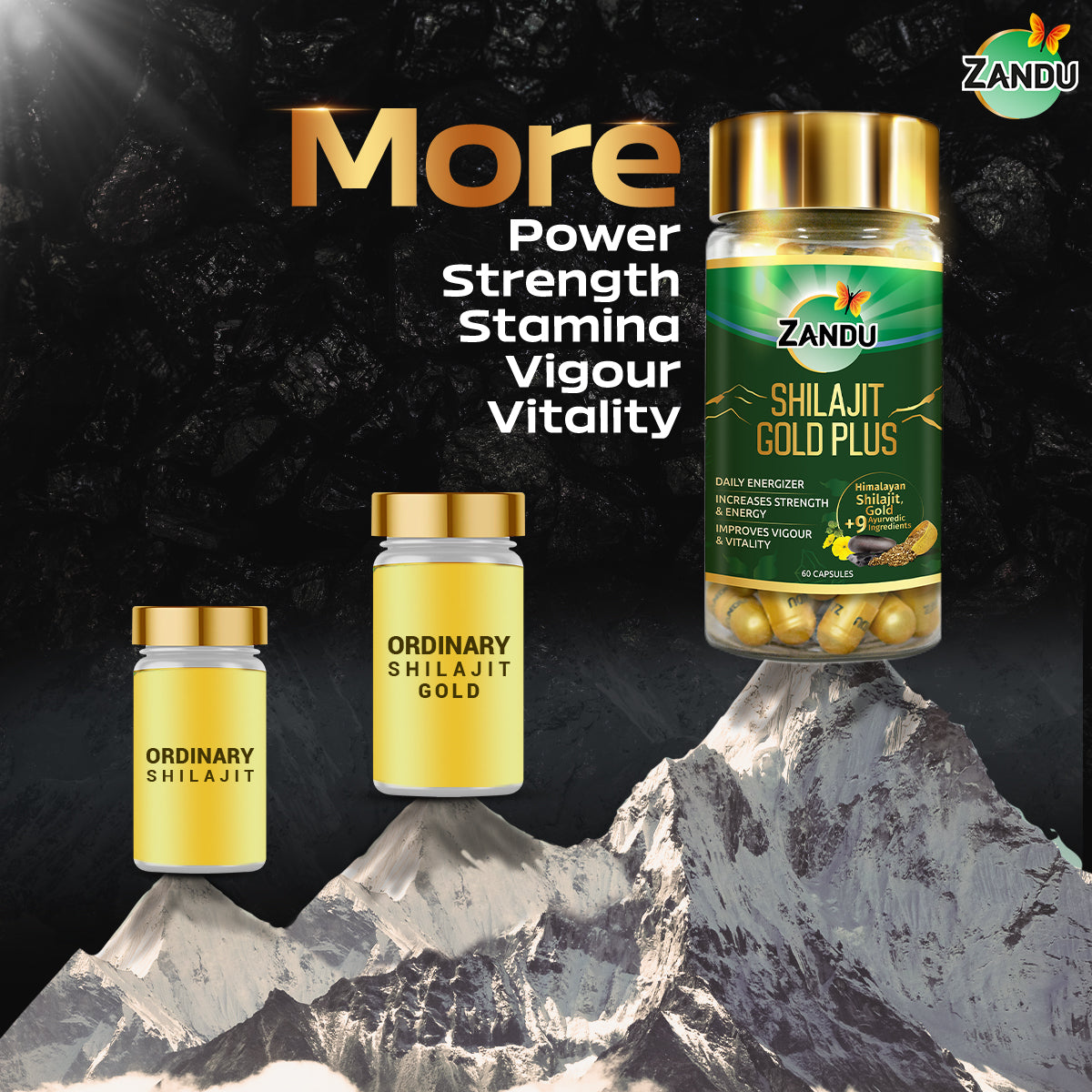 Zandu Shilajit Gold Plus Capsules