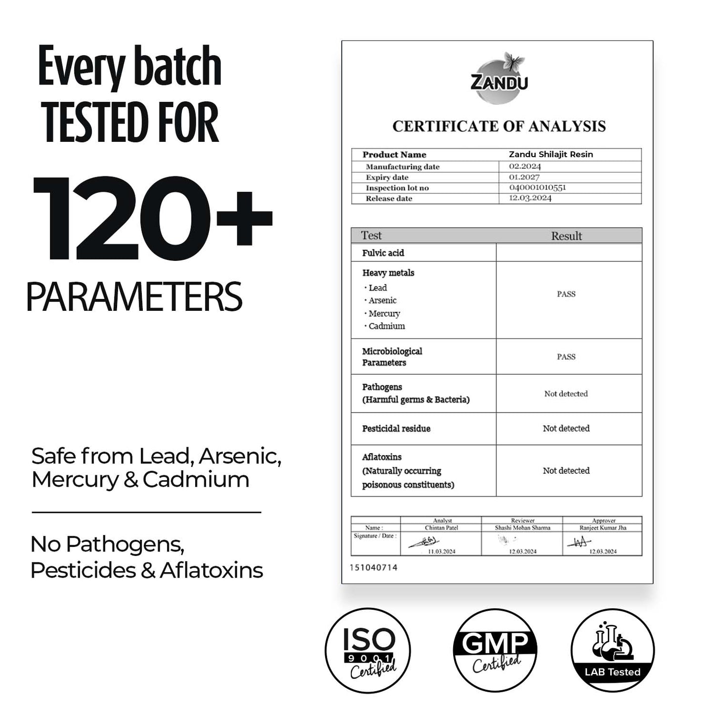 Zandu Himalayan Shilajit Resin