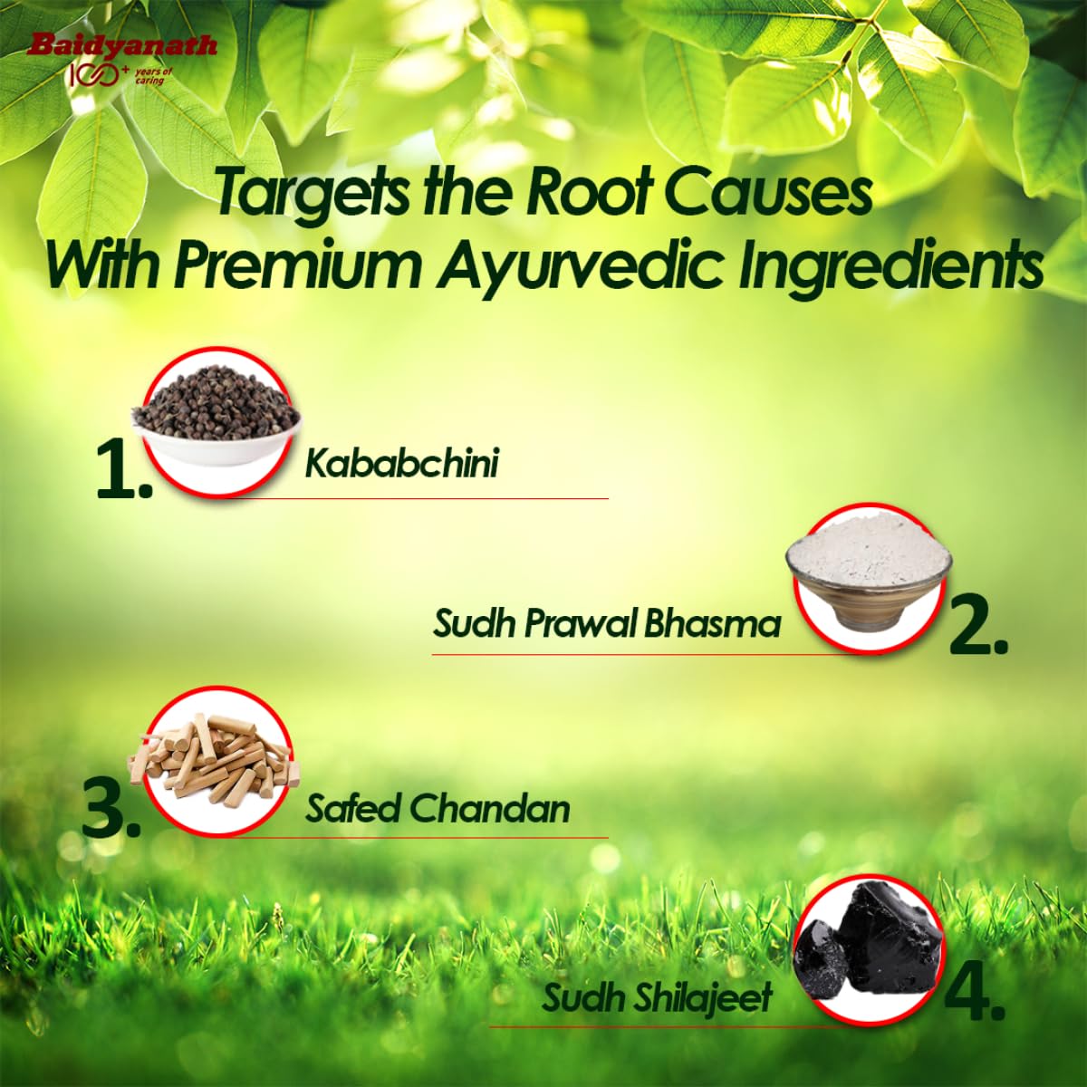 Baidyanath Prostaid 50 Tablets