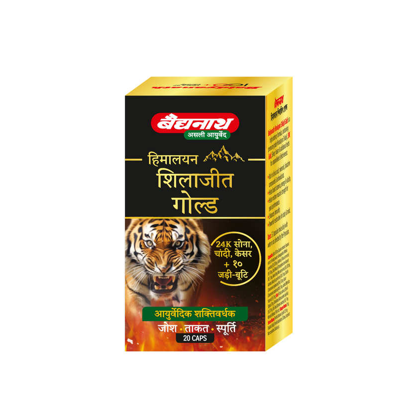 Baidyanath Himalayan Shilajit Gold 20 Capsules