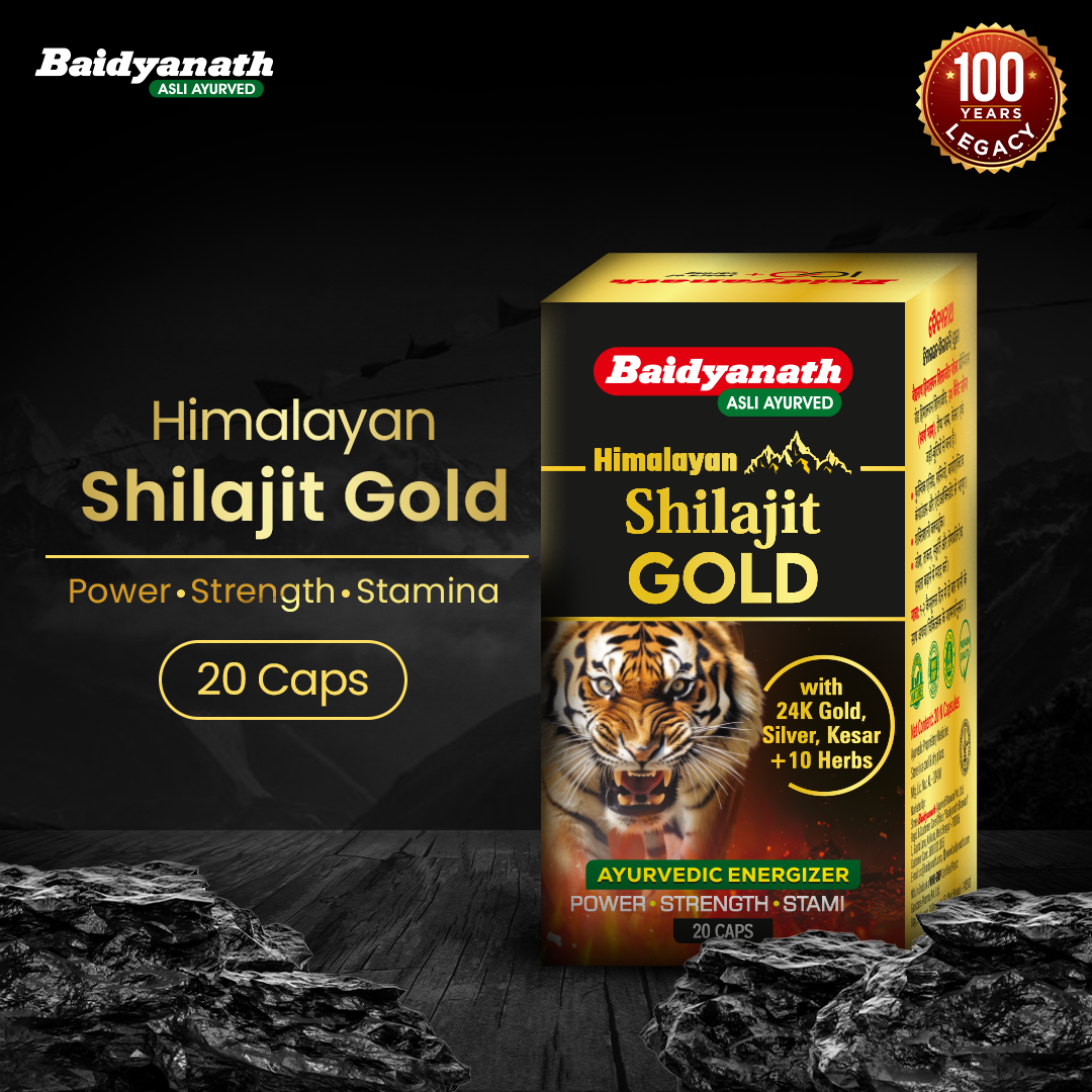 Baidyanath Himalayan Shilajit Gold- 20 Capsules