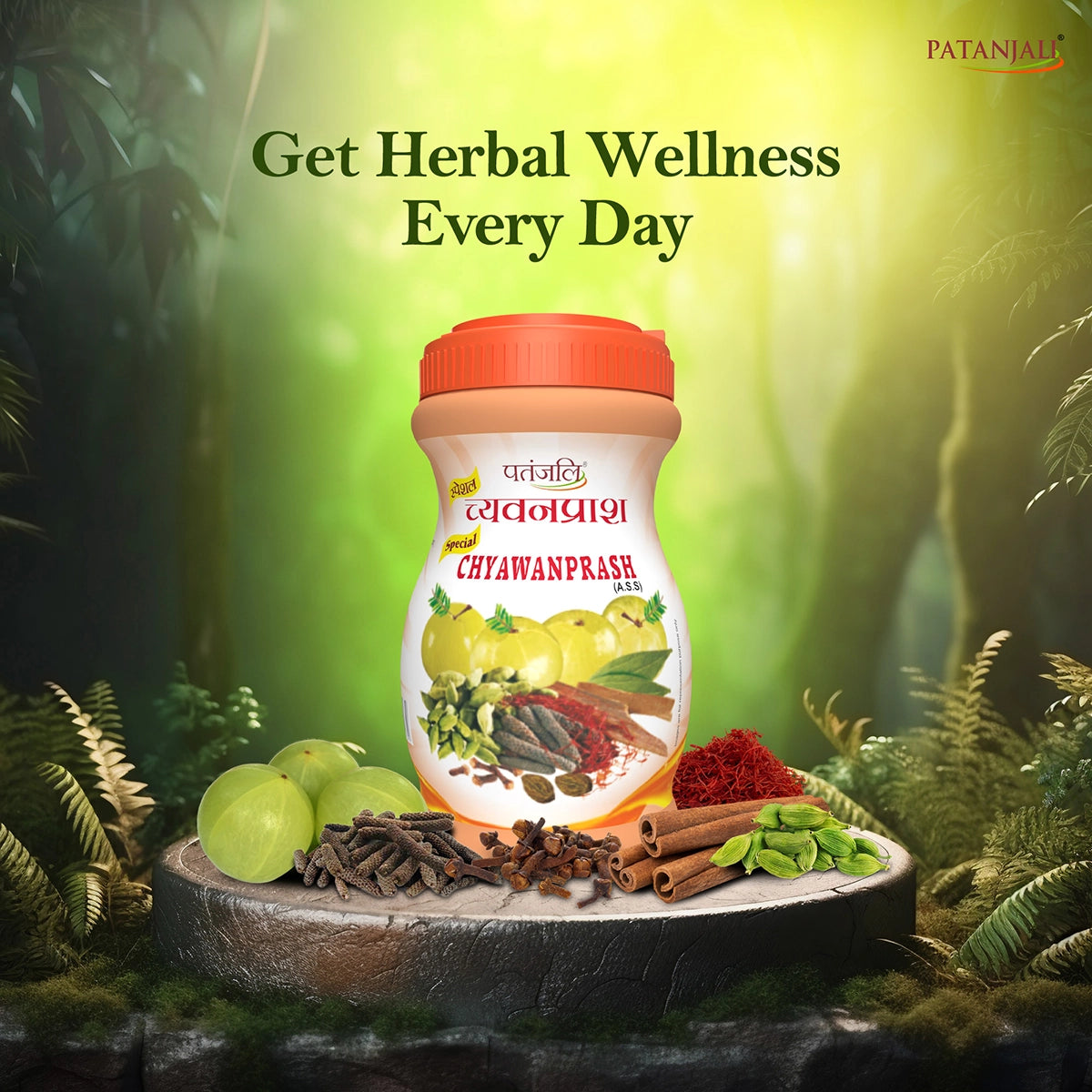 Patanjali Special Chyawanprash 1 kg