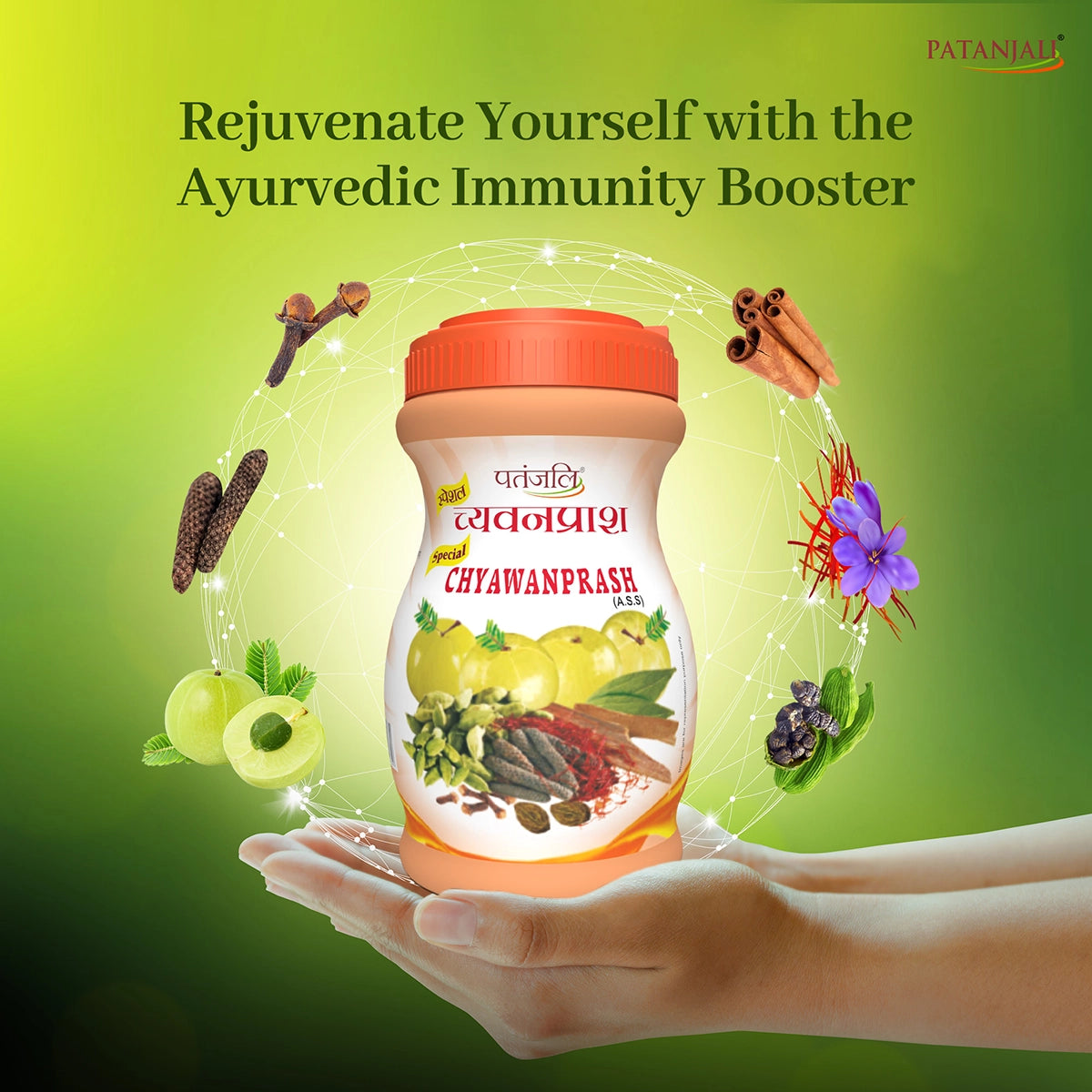 Patanjali Special Chyawanprash 1 kg