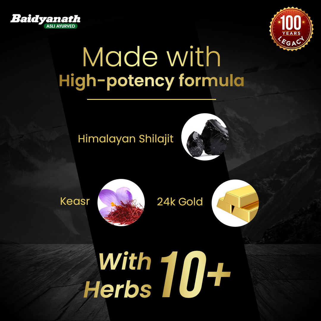 Baidyanath Himalayan Shilajit Gold- 20 Capsules