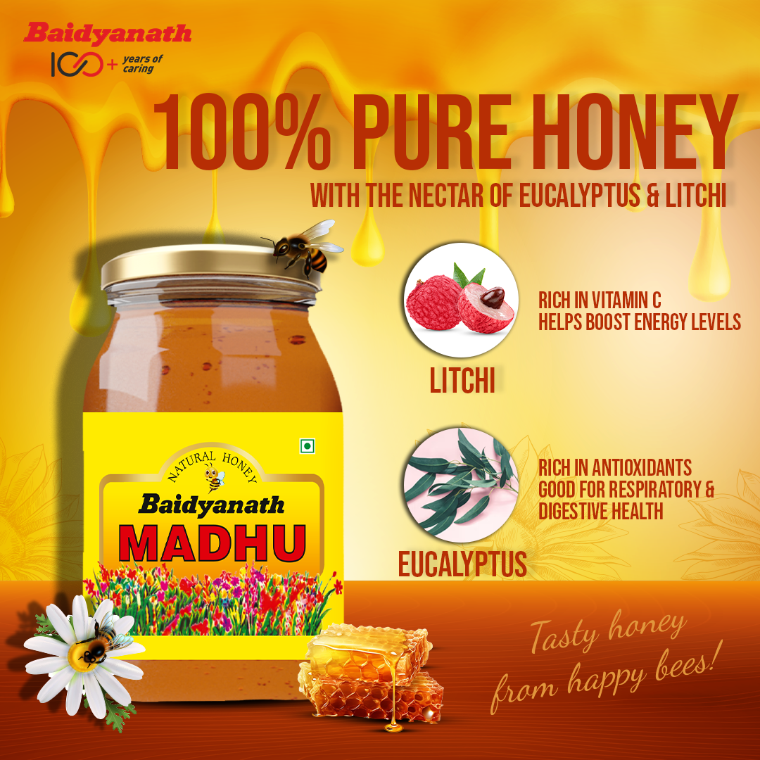 Baidyanath Honey Madhu