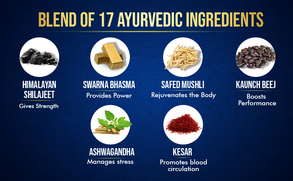 Baidyanath Vita-Ex Gold For Men