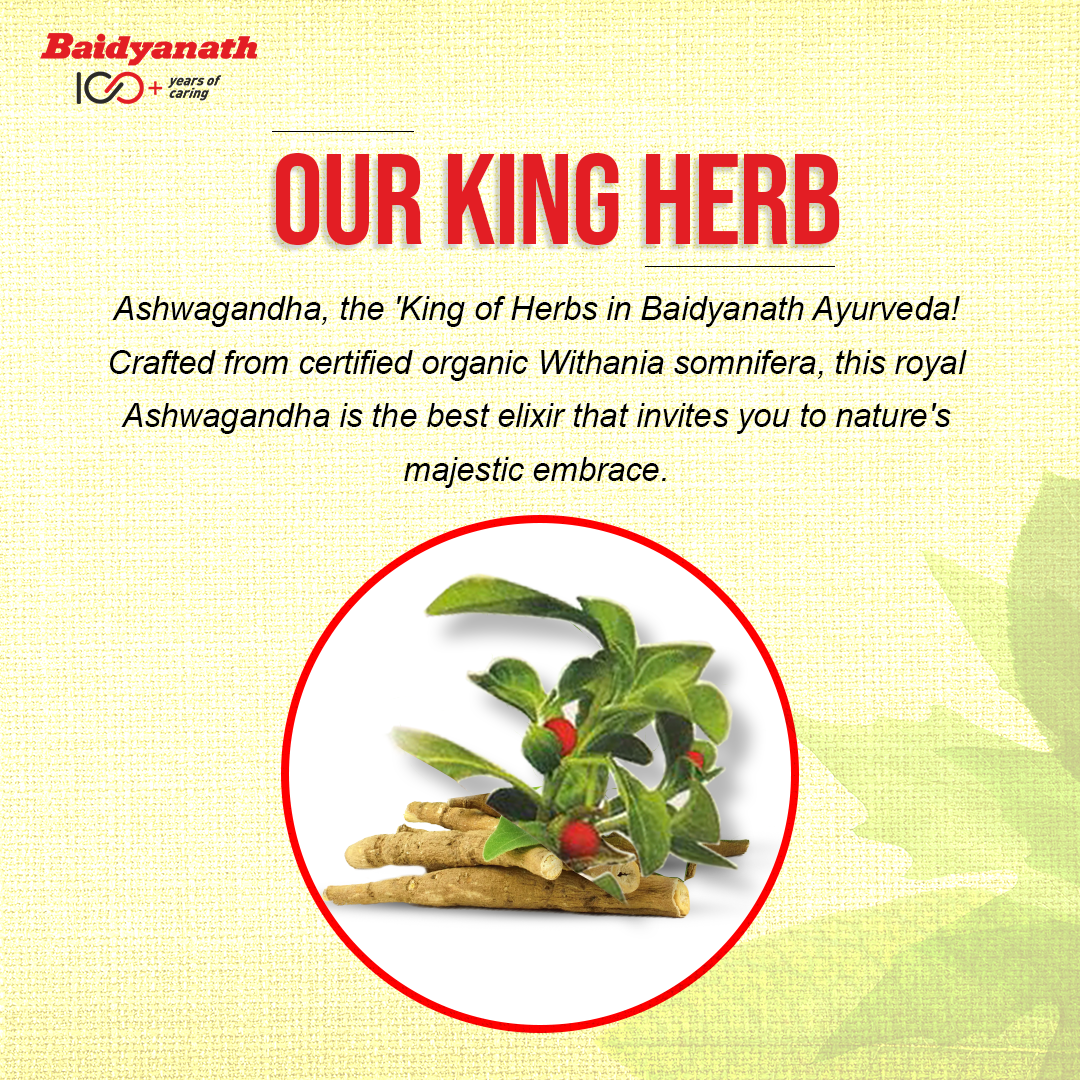 Baidyanath Ashwagandha Churna 100g