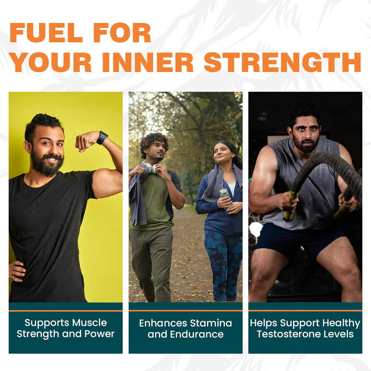 Shilajit 60 Capsules