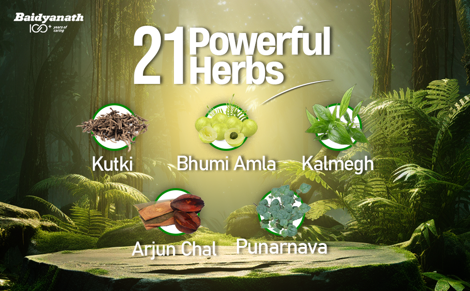 Baidyanath Liverol Syrup - 450ml