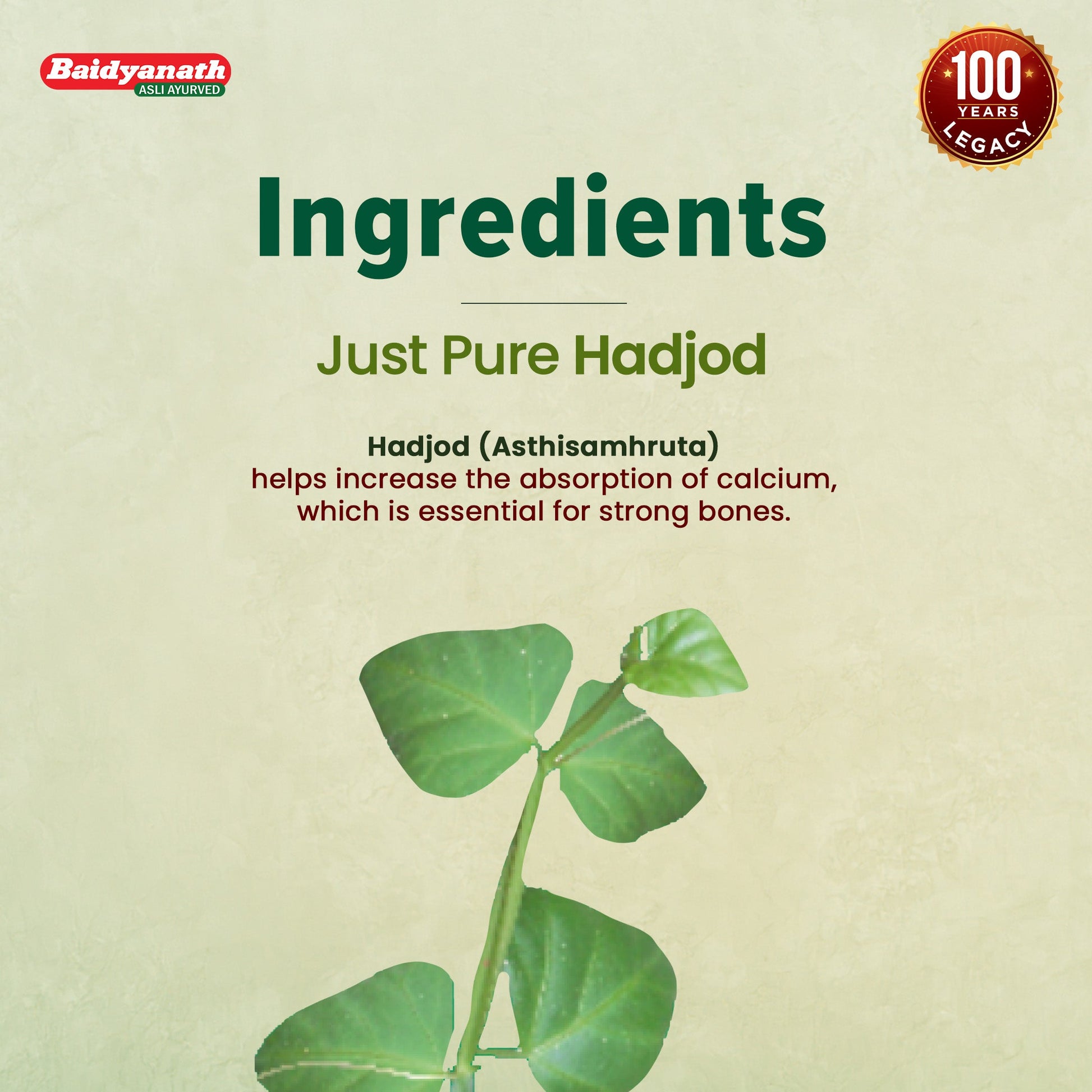 Baidyanath Hadjod 60 Tablet