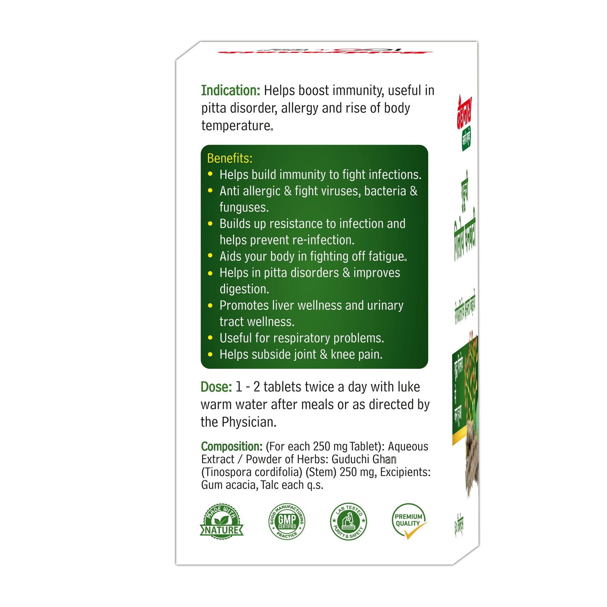 Baidyanath Guduchi Ghan Bati – Ayurvedic Immunity Booster Supports Respiratory & Liver Health 250 mg – 60 Tablets